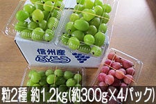 ^}t@[ VC}XJbgNC[j[i 2 1.2kg(300g×4pbN)