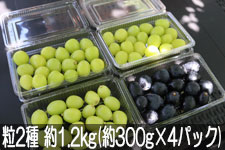 �^�}�t�@�[�� �V���C���}�X�J�b�g���i�K�m�p�[�v�� ��2�� ��1.2kg(��300g×4�p�b�N) 9��10���ȍ~����