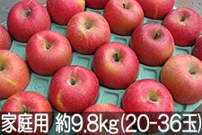 }q_ Tӂ ƒp 9.8kg(24-36) 1211ȍ~