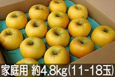 }q_ VimS[h ƒp 4.8kg(11-18)