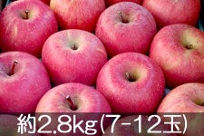 つがね農園 サンふじ 約2.8kg(7-12玉) 12月6日以降発送
