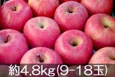 ˔_ Tӂ 4.5kg(14-18) 1210ȍ~
