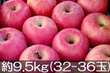˔_ Tӂ 9.5kg(32-36) 127ȍ~