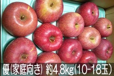 ˔_ Tӂ D(ƒ) 4.8kg(10-18) 127ȍ~