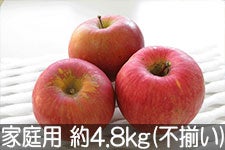 ���˔_�� �T���ӂ� �ƒ�p ��4.8kg(�s����) 1��10���ȍ~����