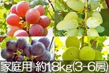 ˔_ {̂Ԃǂlߍ킹 ƒp 1.8kg(3-6[) 104ȍ~