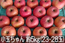 ���c�t���[�c�_�� �T���ӂ� ���ʂ���� ��5kg(23-28��) 1��5���ȍ~����