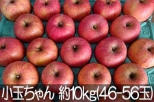 ���c�t���[�c�_�� �T���ӂ� ���ʂ���� ��10kg(46-53��) 1��5���ȍ~����