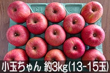 島田フルーツ農園 サンふじ 小玉ちゃん 約3kg(13-15玉) 1月5日以降発送