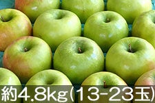 島田フルーツ農園 グラニースミス 約4.8kg(13-23玉) 11月5日以降発送