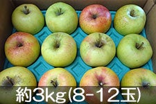 島田フルーツ農園 ぐんま名月 約3kg(8-12玉)