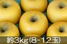 島田フルーツ農園 シナノゴールド 約3kg(8-12玉)