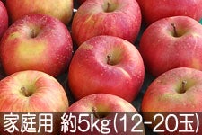 ���c�t���[�c�_�� �T���ӂ� �ƒ�p ��5kg(12-20��)