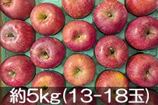 �A���v�X�̕� �T���ӂ� ��5kg(13-18��)�y�M�B�̊��ɂ₳�����_�Y���F�؁z�F��_��