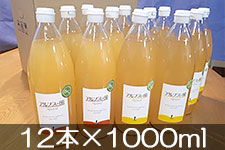 �A���v�X�̕��ӂ��E�V�i�m�S�[���h�W���[�X 12�{×1000ml�y�M�B�̊��ɂ₳�����_�Y���F�؁z�F��_��	
