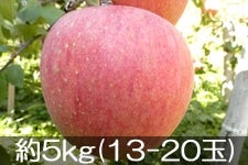 ふるさと農園 サンふじ 約5kg(13-20玉)