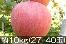 ӂ邳Ɣ_ Tӂ 10kg(27-40) 1112ȍ~