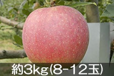 ӂ邳Ɣ_ Vimbv 3kg(8-12)