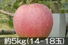 ӂ邳Ɣ_ Vimbv  5kg(14-18)