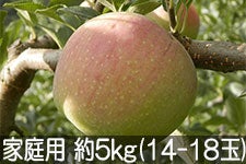 ӂ邳Ɣ_ Vimbv ƒp 5kg(14-18)