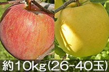 ӂ邳Ɣ_ Tӂ&VimS[h 10kg(26-40) 1112ȍ~