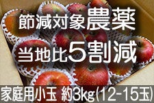 ̂܂_ ӂ ƒp 3kg(12-15)yMB̊ɂ₳_YF؁EGRt@[}[zF_