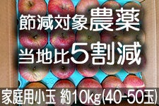 ̂܂_ ӂ ƒp 10kg(40-50)yMB̊ɂ₳_YF؁EGRt@[}[zF_