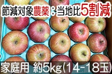 ̂܂_ ӂ ƒp 5kg(14-18) 121ȍ~yMB̊ɂ₳_YF؁EGRt@[}[zF_