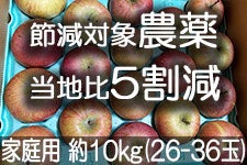 ̂܂_ ӂ ƒp 10kg(26-36)yMB̊ɂ₳_YF؁EGRt@[}[zF_