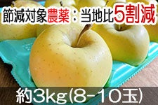 ̂܂_ VimS[h 3kg(8-10)yMB̊ɂ₳_YF؁EGRt@[}[zF_