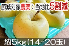 ̂܂_ VimS[h 5kg(14-20)yMB̊ɂ₳_YF؁EGRt@[}[zF_