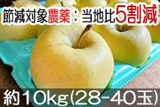 ̂܂_ VimS[h 10kg(28-40)yMB̊ɂ₳_YF؁EGRt@[}[zF_