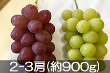 �̂�܂�_�� �N�C�[�����[�W���E�V���C���}�X�J�b�g 2-3�[(��900g) 10��1���ȍ~����