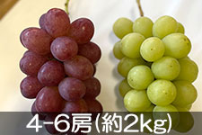 �̂�܂�_�� �N�C�[�����[�W���E�V���C���}�X�J�b�g 4-6�[(��2kg) 10��1���ȍ~����