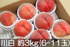 ̂܂_ 쒆 3kg(6-11) 825-910