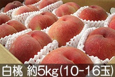 ̂܂_  5kg(10-16) 85ȍ~