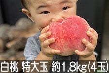 ̂܂_   1.8kg(4) 810ȍ~