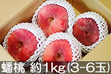 ̂܂_ 崓(΂Ƃ) 1kg(3-6) 816ȍ~