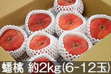 ̂܂_ 崓(΂Ƃ) 2kg(6-12) 816ȍ~