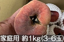 ̂܂_ 崓(΂Ƃ) ƒp 1kg(3-6)