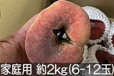 ̂܂_ 崓(΂Ƃ) ƒp 2kg(6-12)