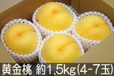 ̂܂_  1.5kg(4-7) 730ȍ~