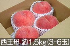 ̂܂_  1.5kg(3-6) 920ȍ~