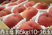 ̂܂_  5kg(10-16) 920ȍ~