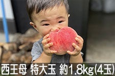 ̂܂_   1.8kg(4) 920ȍ~