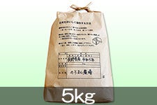 ̂܂_ P 5kg VEʍ͔| (ߘa6NY)