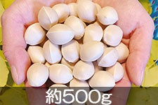 ̂܂_ 嗱 500g(3L-2LTCY500g×1)