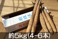 ֐_ Ȃ 5kg(4-6{) 121ȍ~yMB̊ɂ₳_YF؁E݂ǂ̐HVXe@zF_