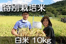 �֐�_�� ���ʍ͔|�ăR�V�q�J�� ���� 10kg(�ߘa7�N�Y) 1��7���ȍ~�����y�M�B�̊��ɂ₳�����_�Y���F�؁E�݂ǂ�̐H���V�X�e���@�z�F��_��