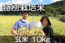 �֐�_�� ���ʍ͔|�ăR�V�q�J�� ���� 10kg(�ߘa7�N�Y) 1��7���ȍ~�����y�M�B�̊��ɂ₳�����_�Y���F�؁E�݂ǂ�̐H���V�X�e���@�z�F��_��